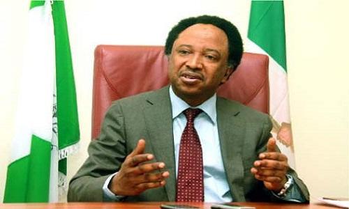 ‘Hypersonic missiles’ vs. ‘devastating bombs’: Shehu Sani says Obasanjo-Atiku feud ends only in death