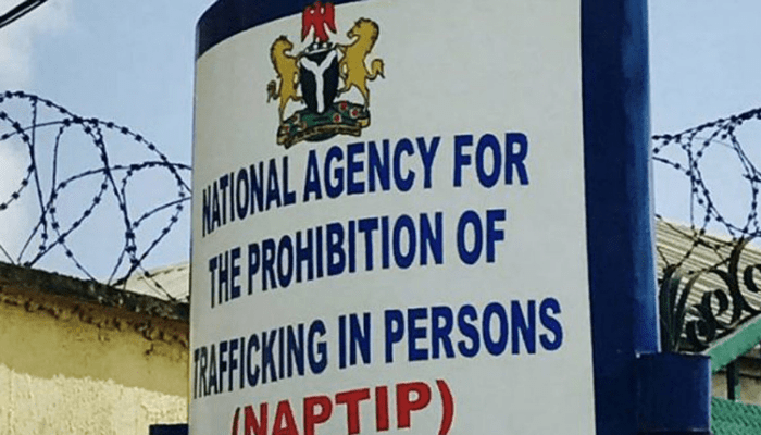 NAPTIP urges stakeholder collaboration as 7 Rivers LGAs register surge in human trafficking