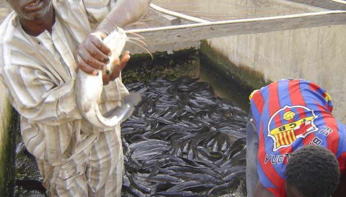Stakeholders urged to ensure resilient future for fisheries-dependent communities across West Africa