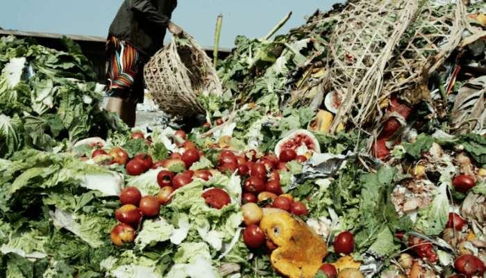 Nigeria tops Africa in food waste, EU sounds alarm