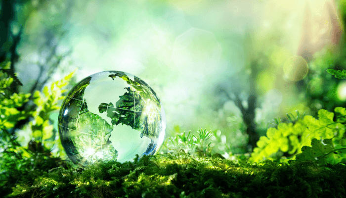 Health and environment: The twin pillars of prosperity
