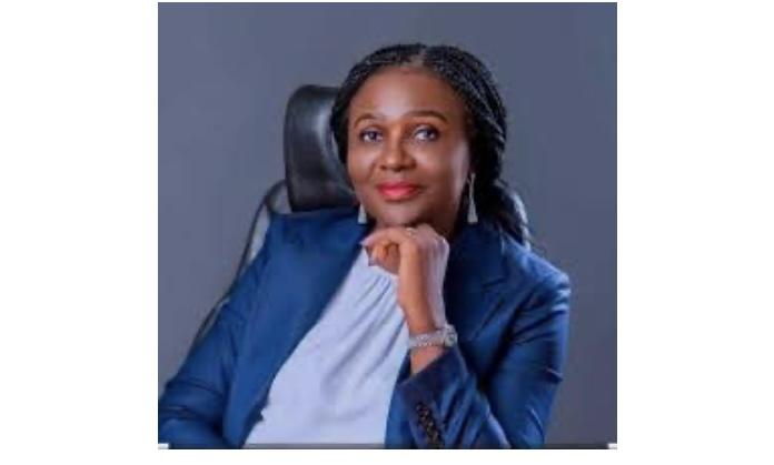 Petroleum sector reforms spark over $10bn upstream investment windfall – NUPRC boss