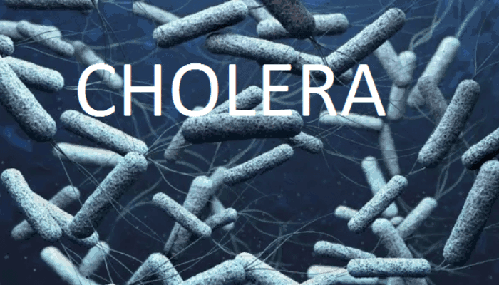 Nigeria’s cholera response weakened by vaccine gaps, poor health structures