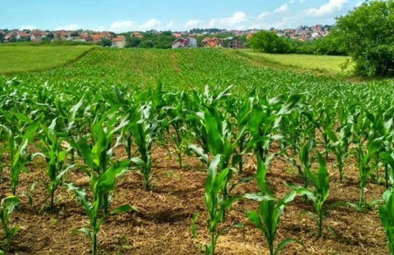 Food Security: 88,000 farmers receive inputs for 2026 rainy season farming across North-Central