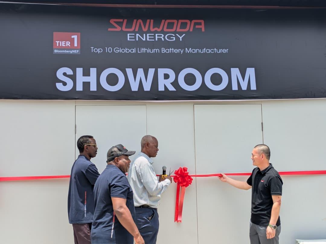 Nigeria gets new bet on solar as Farmtech brings Sunwoda Energy to market
