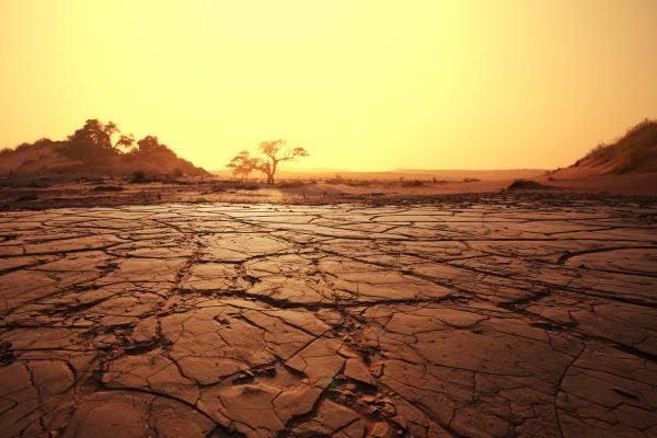 Rising temperatures could wipe $20bn off African economies, AfDB warns