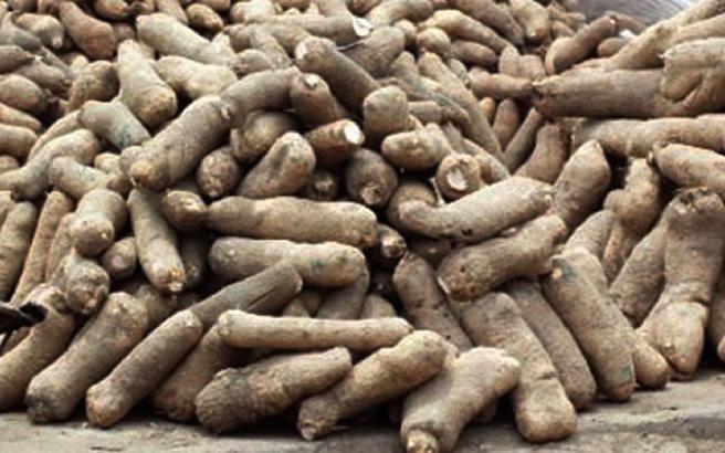 Yam prices rise in Lagos, consumers lament