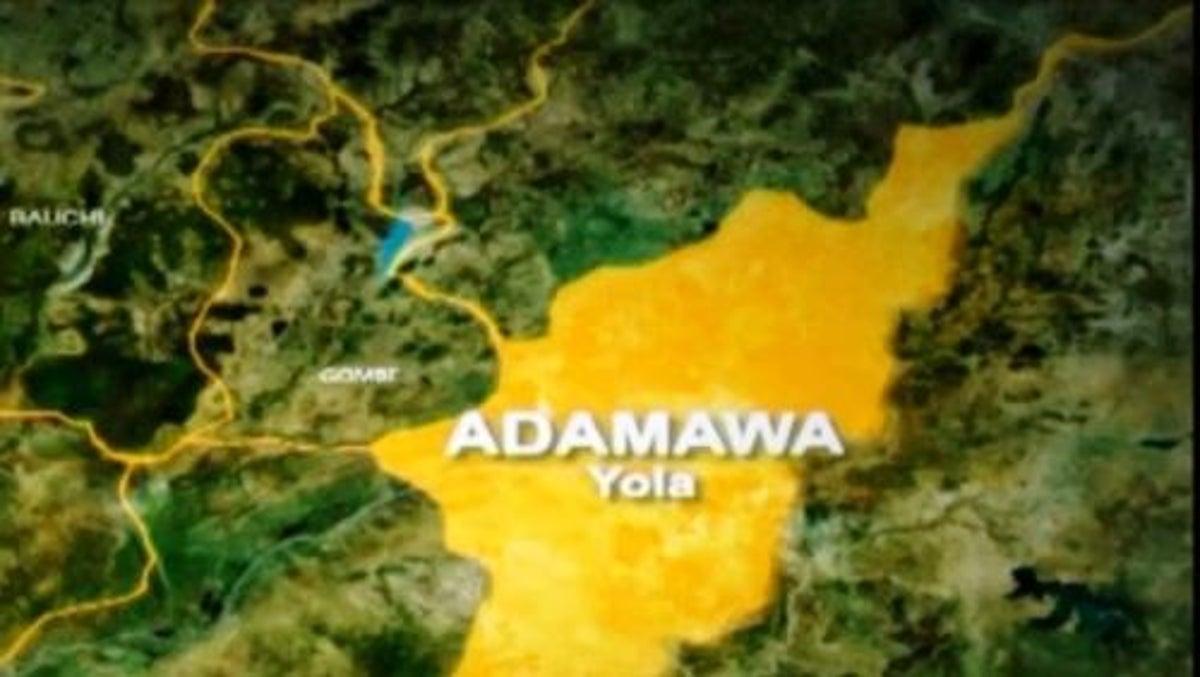 Two armed robbery suspects arrested in Adamawa