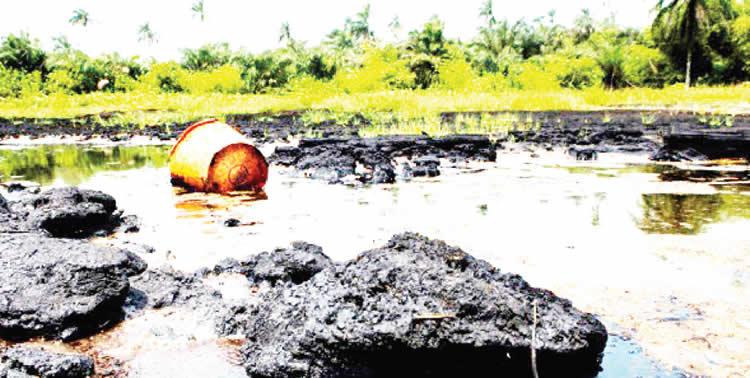 N/Delta clean-up must go beyond Ogoni, group warns