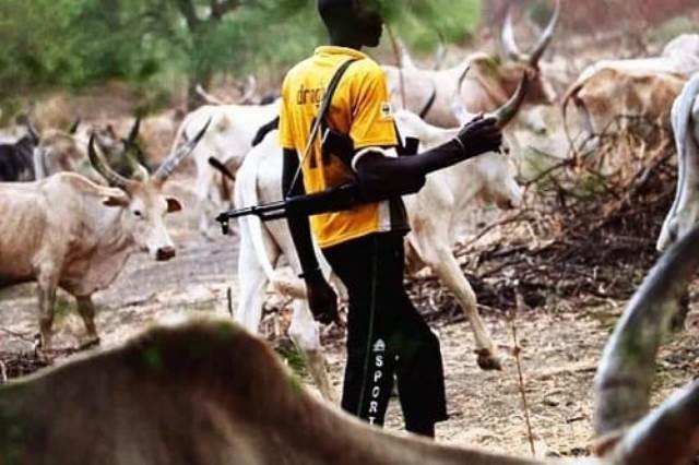 Nigerian, Benin militias kill 41 herders in border raid — Report
