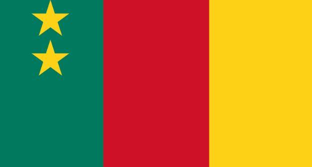 Nine African migrants expelled by US to Cameroon – Lawyer