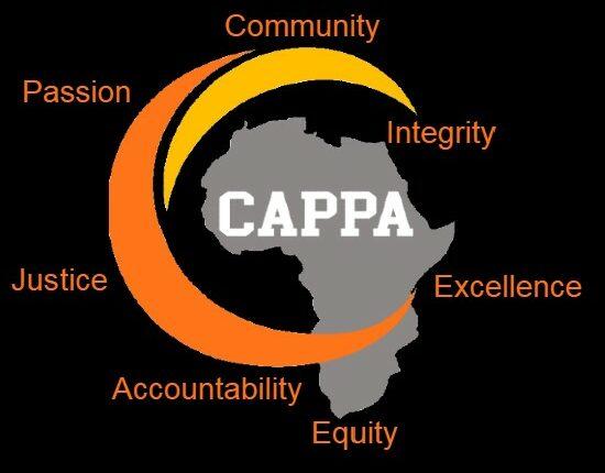 CAPPA flags funding gaps in health sector, blames govt