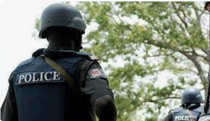 Police foil kidnap plot on Jigawa–Bauchi border, arrest two suspects