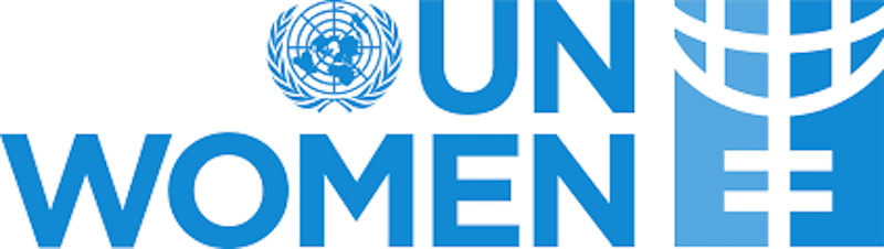 Nigeria’s low female political representation worries UN Women