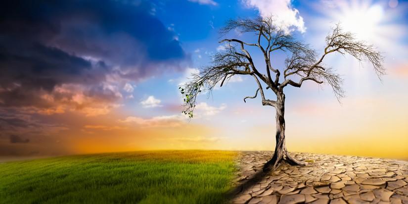 Africa Day: True unity, climate action must define Africa’s future