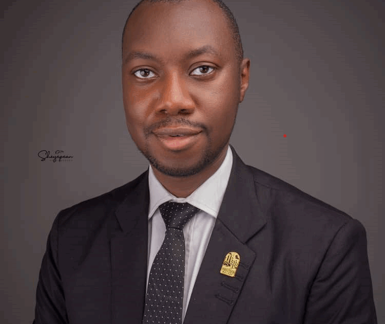 Bayelsa plant, blueprint for state-led power solutions – NSE chair