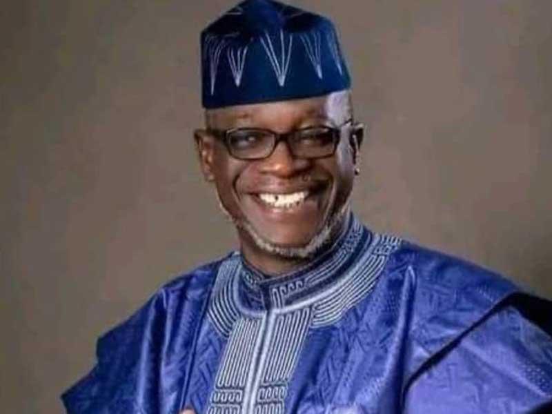 How I was denied ranking senator position – Niger candidate