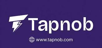 FinTech unveils Bitcoin-powered naira settlement platform