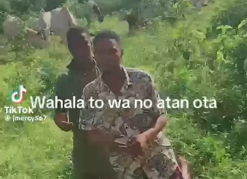 I gained 1,000 followers after fake bandit invasion TikTok video — Tailor