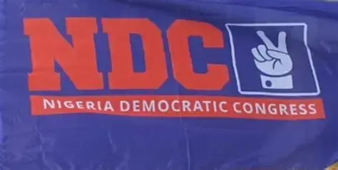 NDC adopts direct primaries for state assembly elections