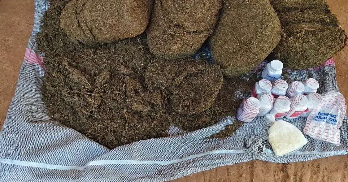 Police arrest suspected drug baron, recover hard drugs in Sokoto