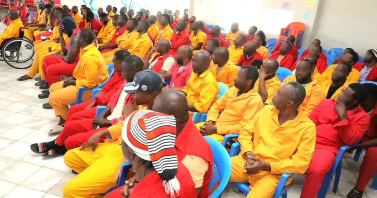 Nigerian inmates in Ethiopia celebrate prisoner transfer deal, thank Tinubu