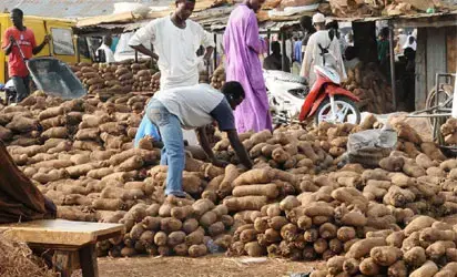 Yam prices rise across Lagos markets as traders, consumers lament