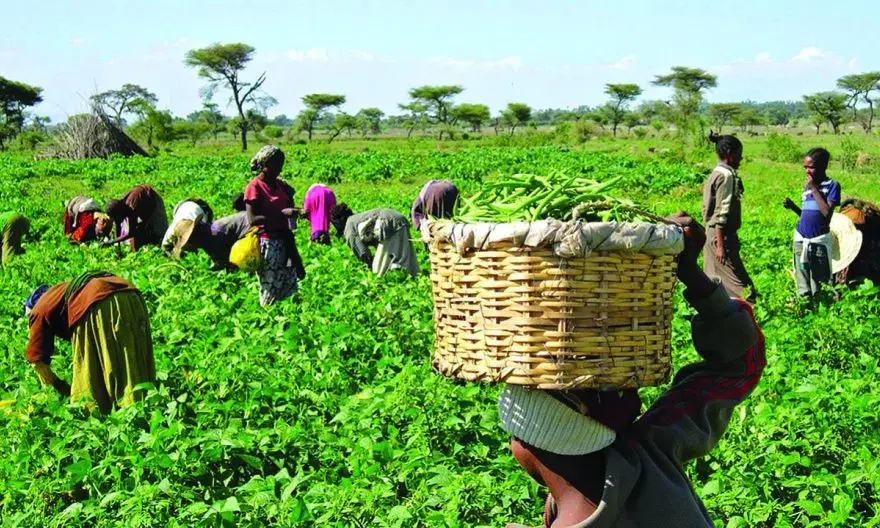 FG, BOA sign MoU to empower 3 million women farmers