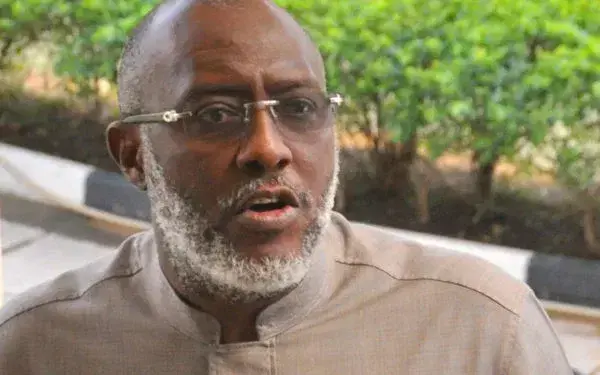 Tinubu showed courage, statesmanship on state police - Metuh