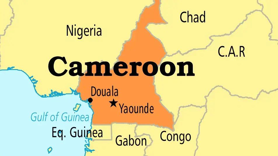 Nine African migrants expelled by US to Cameroon - Lawyer