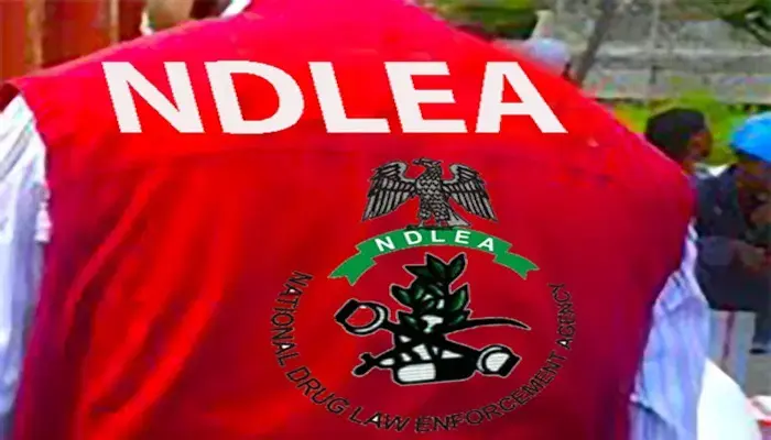 NDLEA intercepts cocaine concealed in mortar, backpack bound for China, Italy