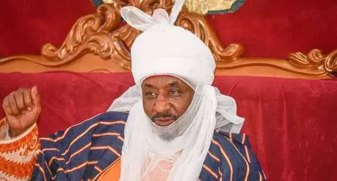 'Why are we still borrowing after subsidy removal?' - Sanusi queries FG