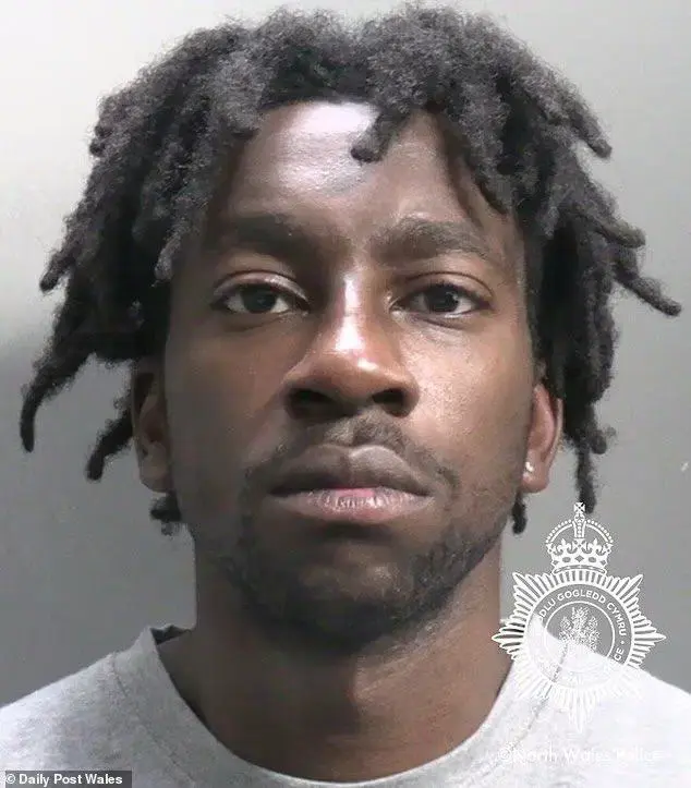 UK court jails 24-year-old Nigerian migrant 17 years for rape