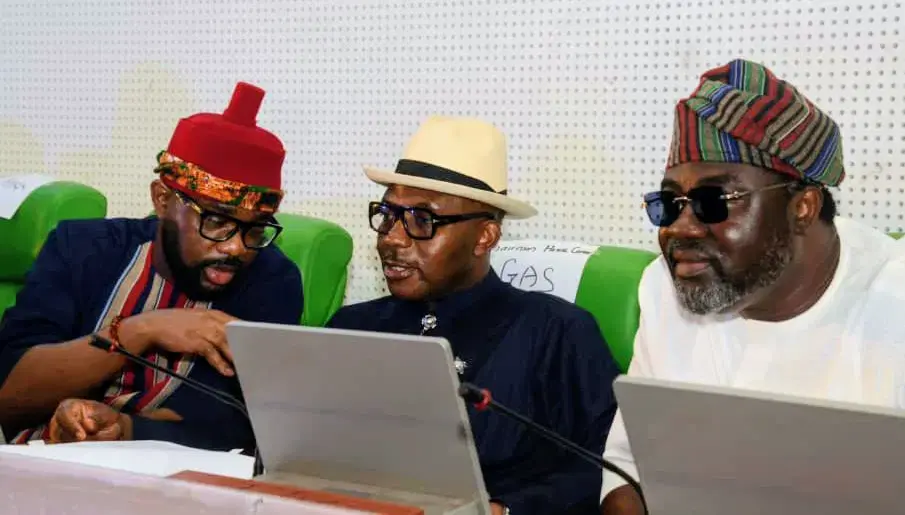 NASS Petroleum committees dismiss petitions, back pipeline surveillance contract