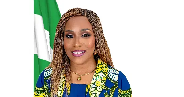 Xenophobia: Igbo Union advises Nigerians in South Africa on safety