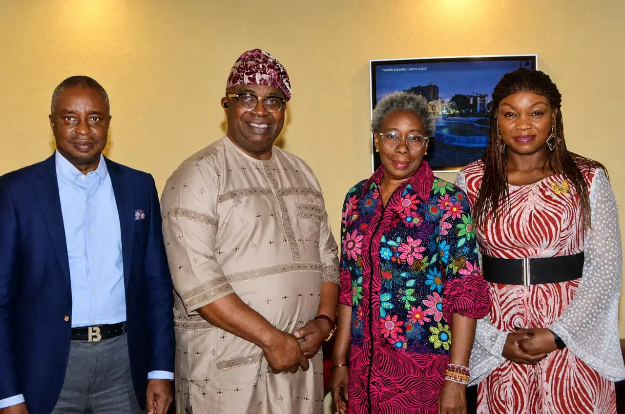 Mentoring Key to Stem Nigeria's Brain Drain — Ogunsola