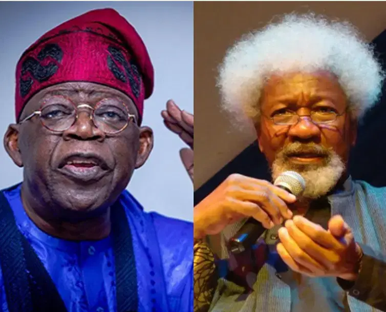 End killings, casual butchery - Wole Soyinka tasks Tinubu