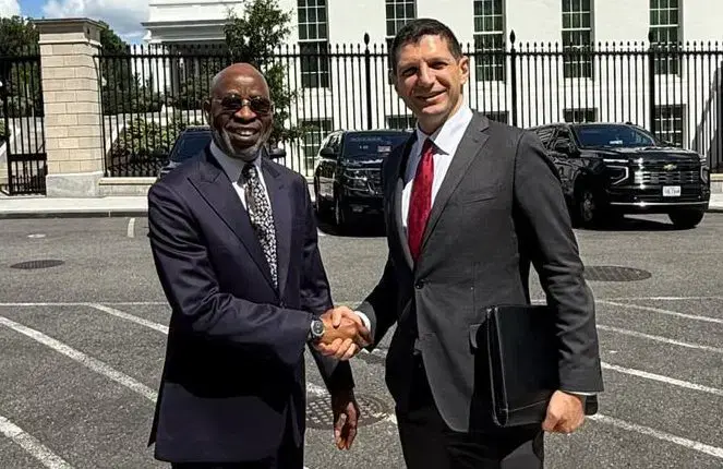 Solid Minerals: Nigeria, US to deepen strategic partnership, investment