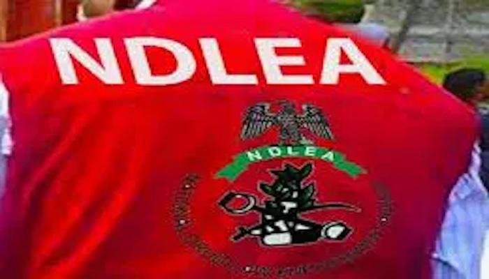 NDLEA Busts Drug Rings, Intercepts Cocaine in Food Flasks, Arrests Fashion Designer