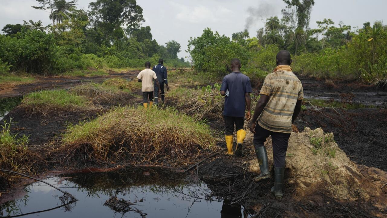 International Group Urges FG To Hold IOCs Accountable For Niger Delta Cleanup