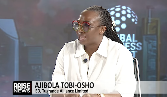 Ajibola Tobi-Osho: Borrowing Is Justified Only If Funds Are Used Productively