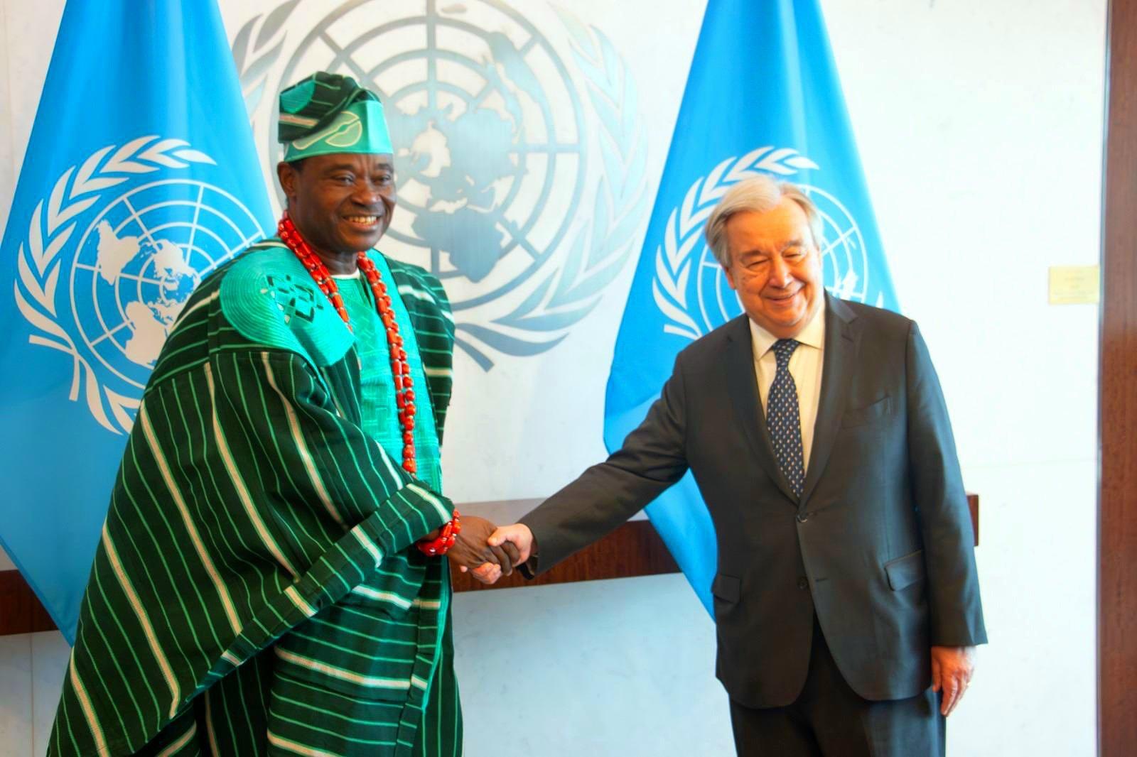 Nigeria’s Jimoh Ibrahim Elected Chair of UN General Assembly’s Fifth Committee