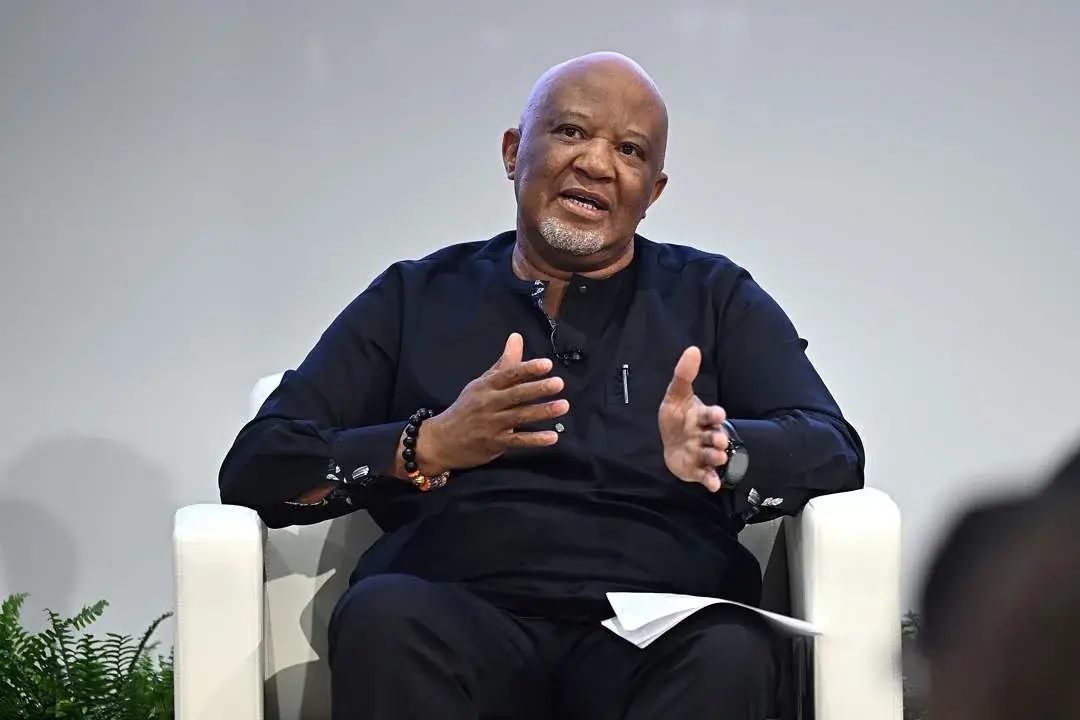 MTN Chairman: State Failure, Not Foreigners, Fuels South Africa’s Xenophobia