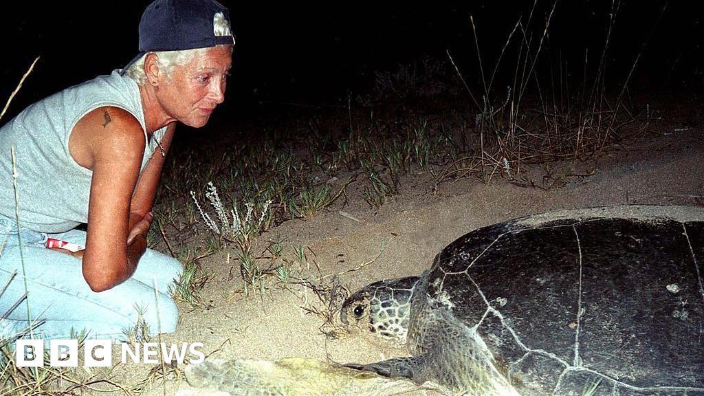 Lebanese turtle conservationist Mona Khalil killed by Israeli strike