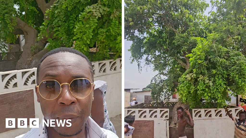 'This tree was planted by my ancestor hundreds of years ago and my family settled here'