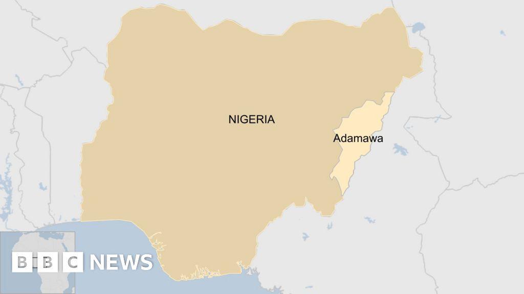 IS claims responsibility for Nigeria attack that killed 29 people