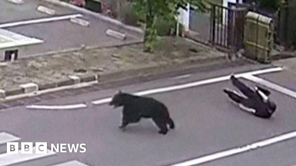 Watch: Man attacked by bear at steel works in Japan