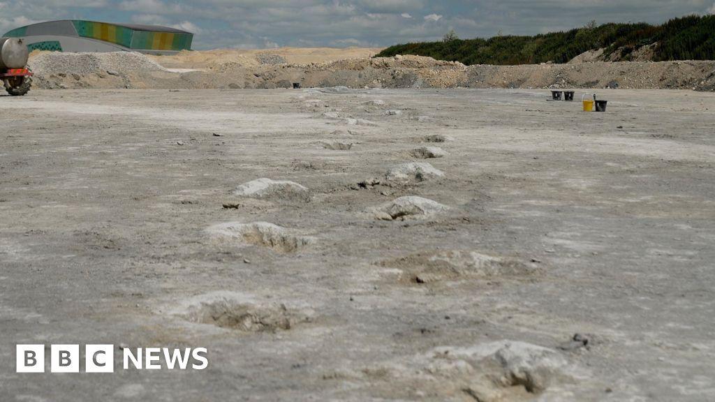 Dinosaur highway 'longest of its kind in the world'