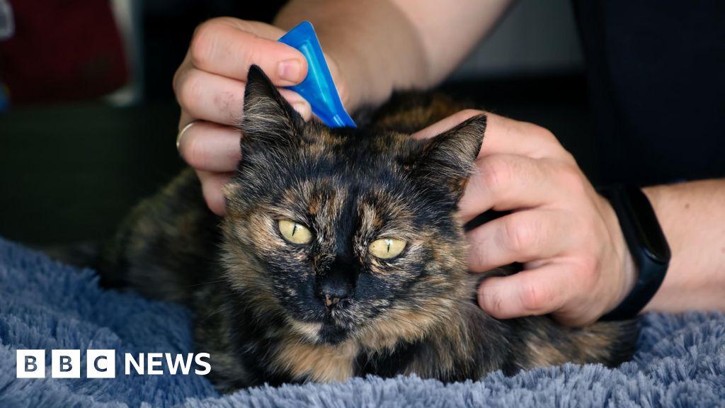 Vets advise ban on over the counter flea treatment for pets