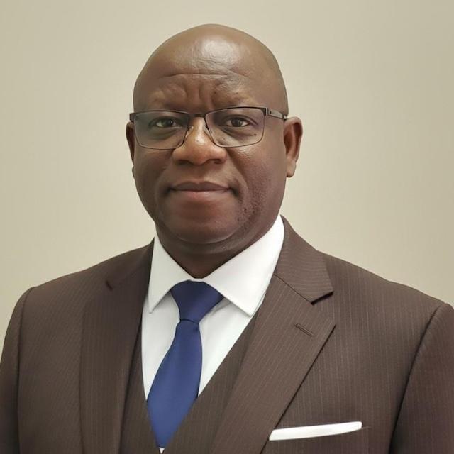 Participation and representation: The quest to deepen Nigerian democracy, By Bolutife Oluwadele